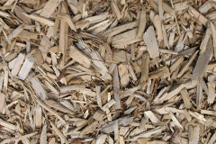 biomass boilers Letheringsett